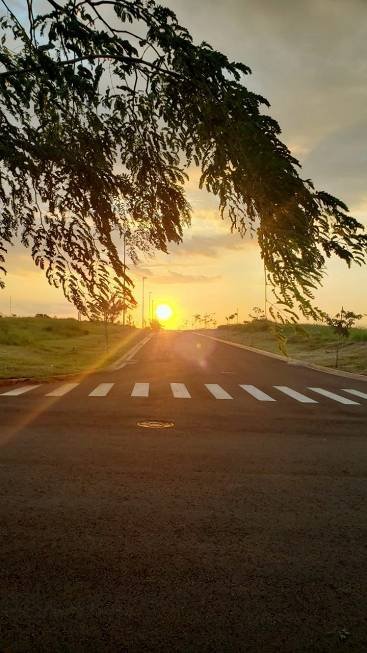 Terreno em Condomnio - Venda - Parque Fortaleza - Nova Odessa - SP